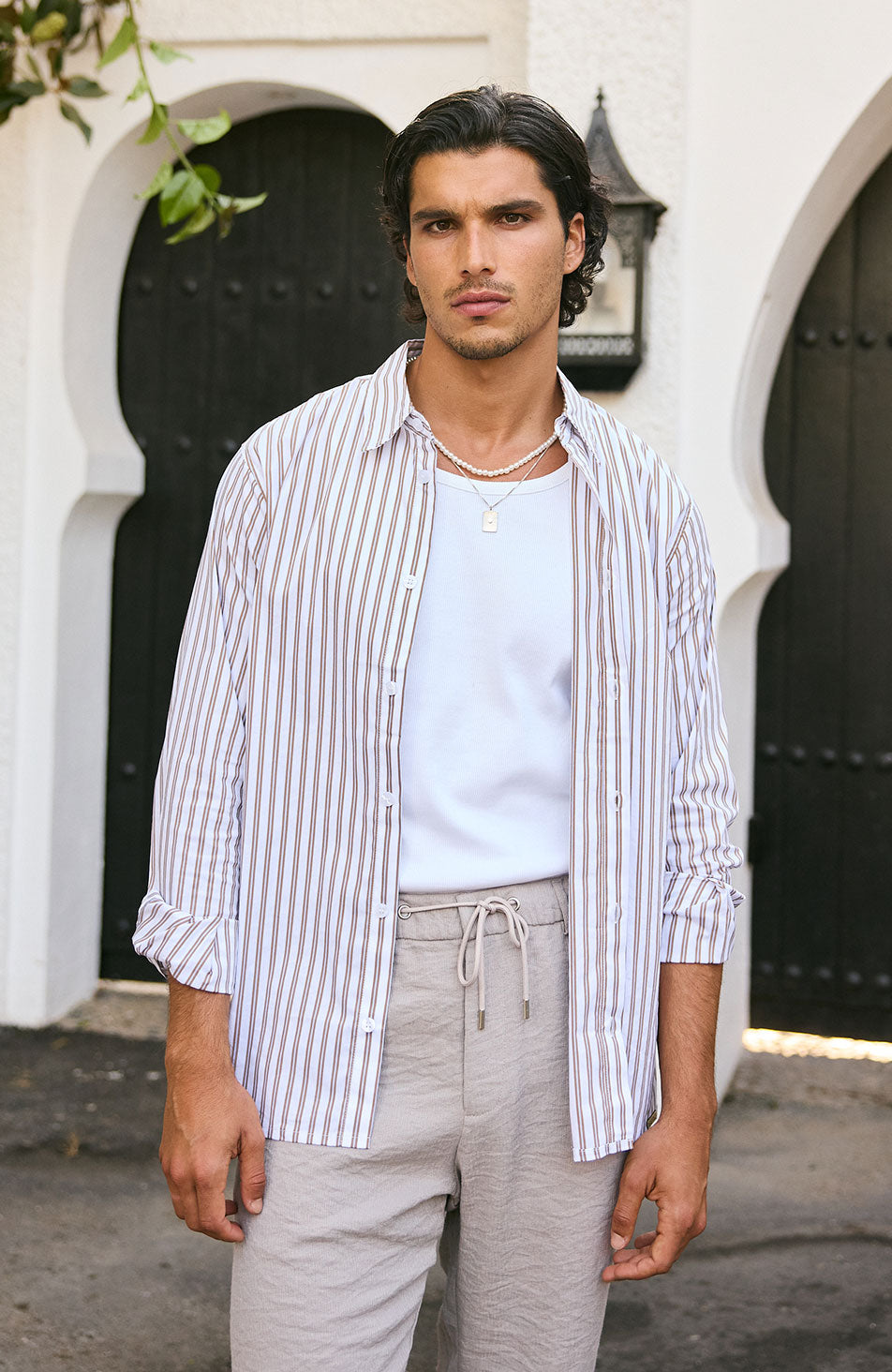 Portofino Poplin Long Sleeve Stretch Shirt in Brown